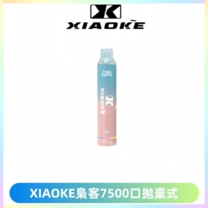 XIAOKE梟客7500Puffs跑馬燈拋棄式電子煙 可發光一次性
